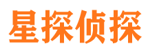 宁城侦探公司